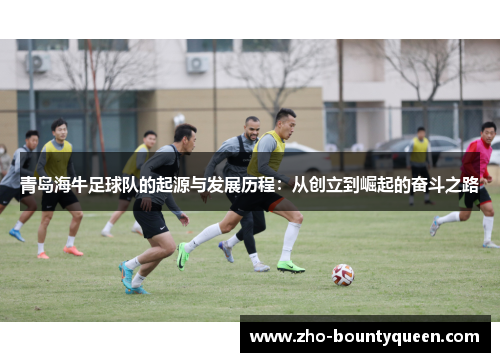 青岛海牛足球队的起源与发展历程：从创立到崛起的奋斗之路